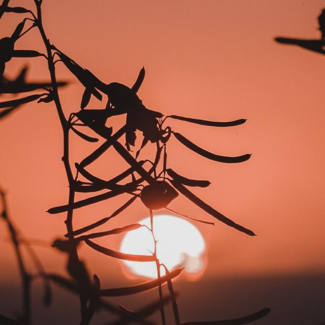 Instagram #tourismemayotte