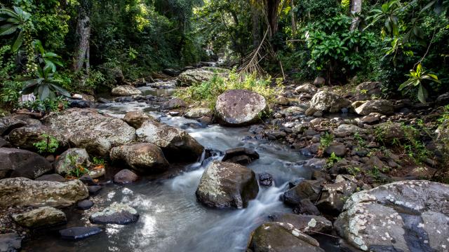 Cascade Passamainty Campagne Mayotte 2019 Nature Balade Randonnee Riviere 0812 Original (1)