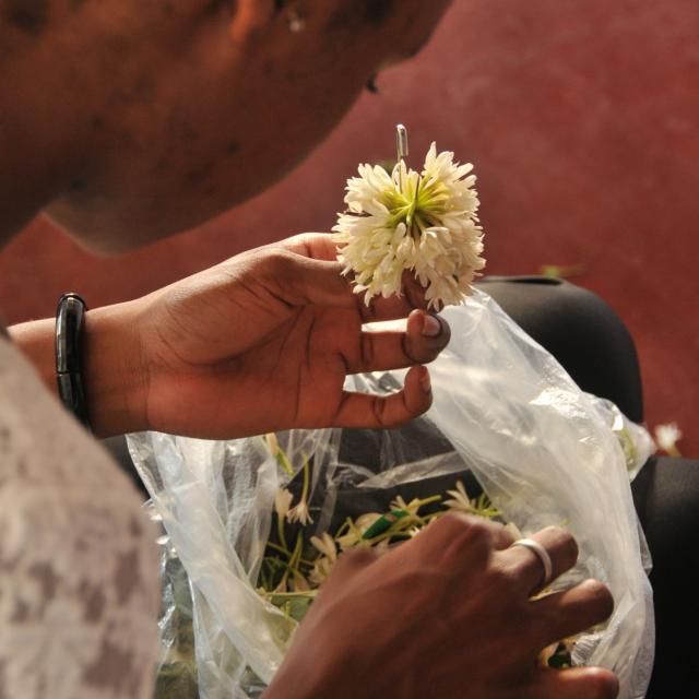 culture de mayotte