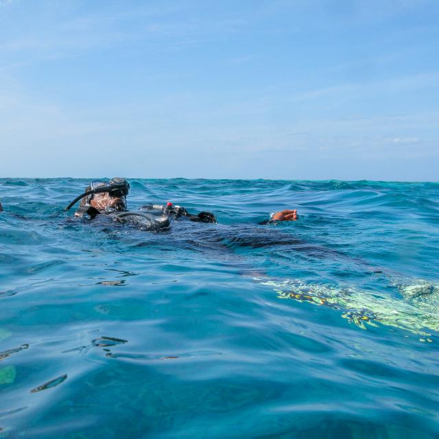 Lagon Mayotte Plongee Plongeur Flotte Scubadiving Lagoon 5016 Original