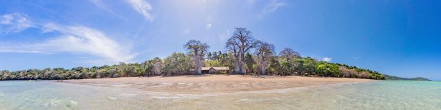 Panorama Ngouja Grande Maree Baobab Arbres Jardin Maore Original (1) (1)