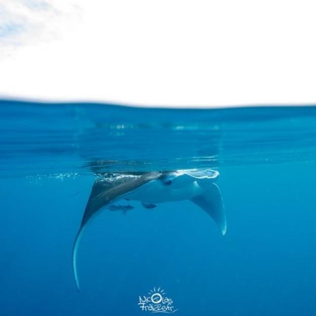 Instagram #aadtmayotte